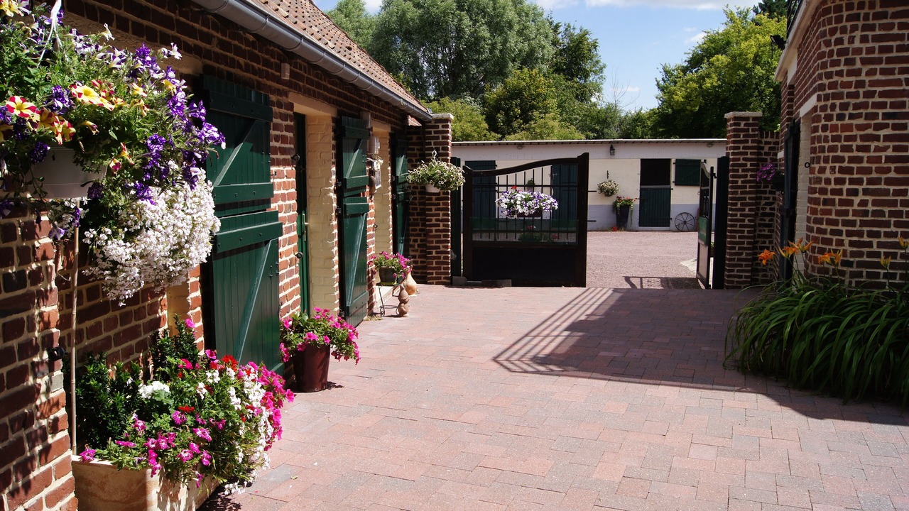 Photo of Outdoor in Blessy