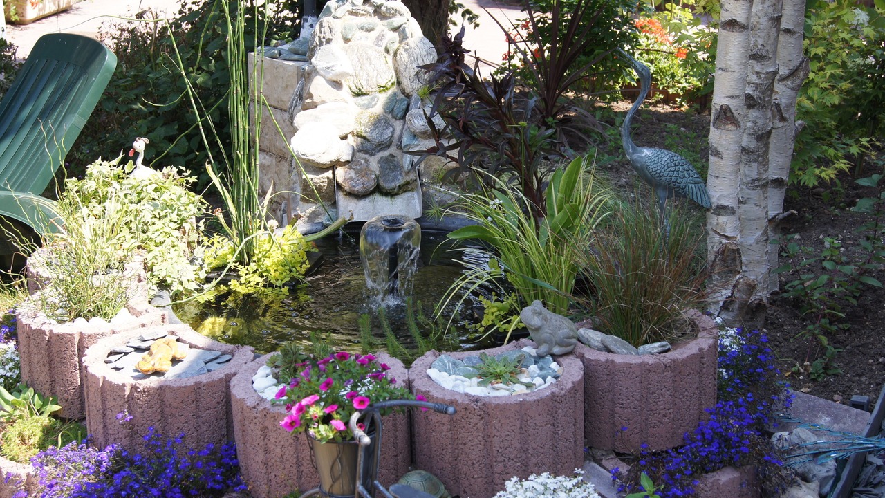 Photo of Outdoor in Blessy