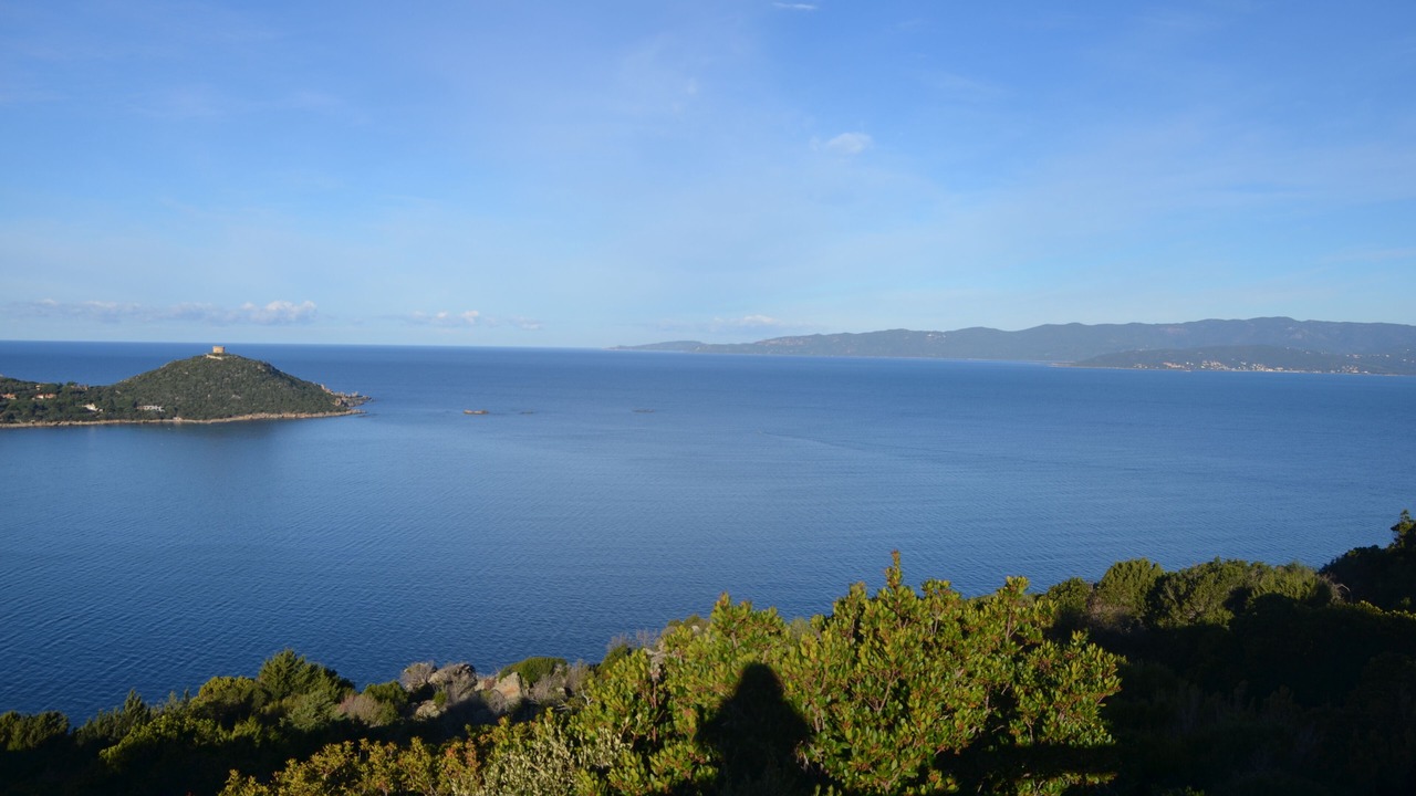 Photo of Others in Belvedere-Campomoro