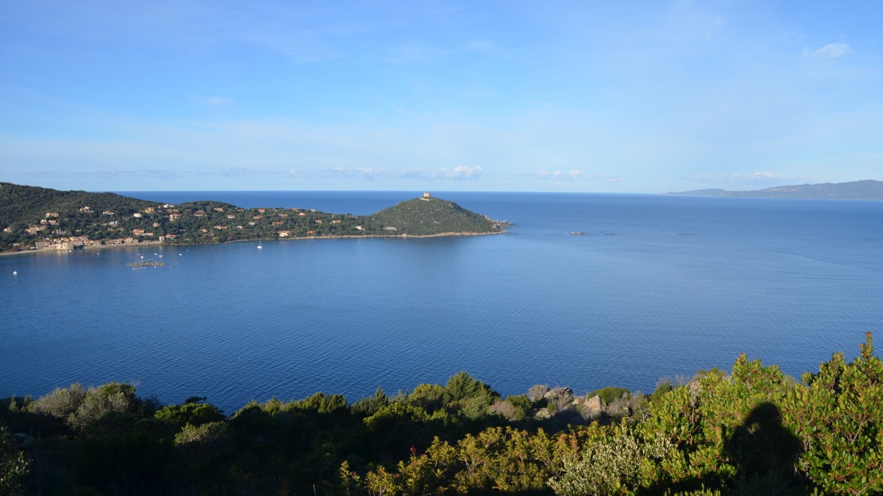 Photo of Others in Belvedere-Campomoro