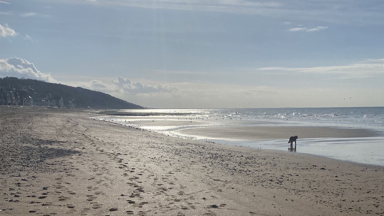 Photo of Others in Villers-sur-Mer
