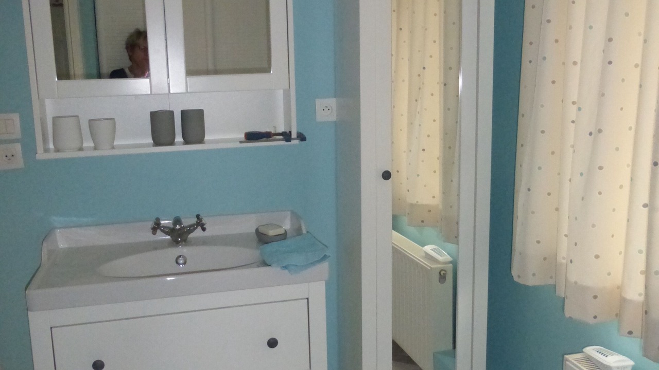 Photo of Bathroom in Bazinghen