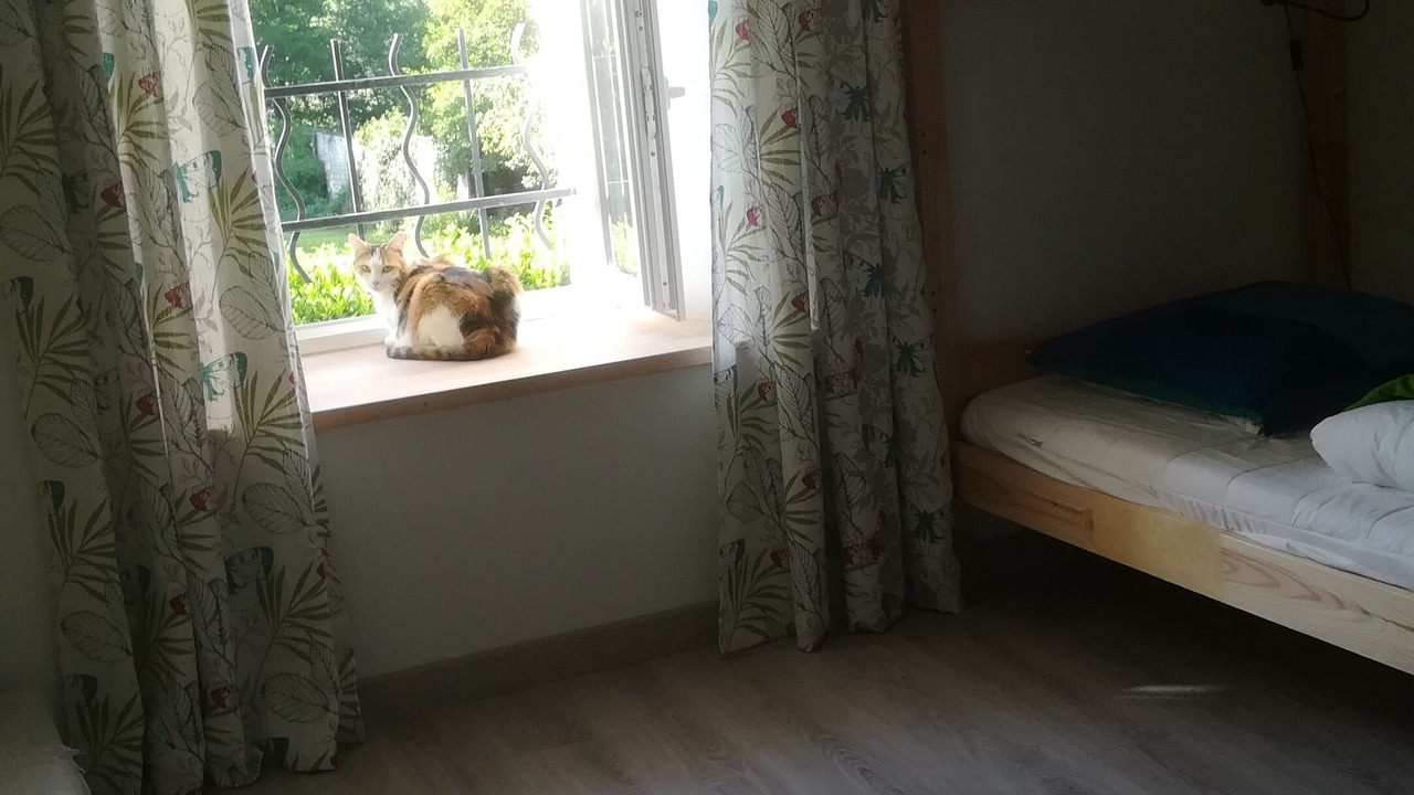 Photo of Bedroom in Dirac