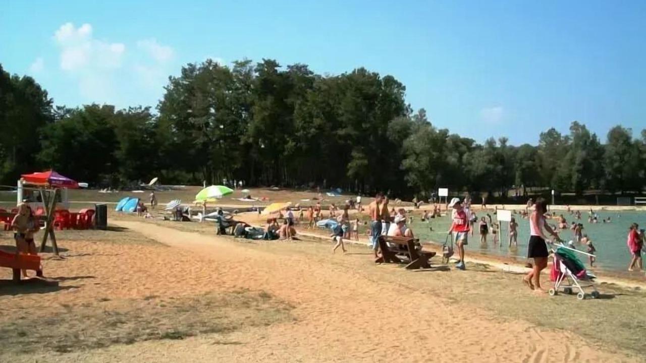 Photo of Others in Cormoranche-sur-Saone