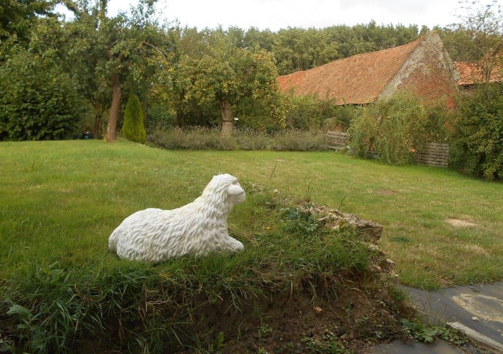Photo of Outdoor in Saint-Augustin