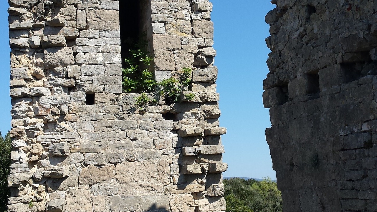 Photo of Others in Causse-de-la-Selle