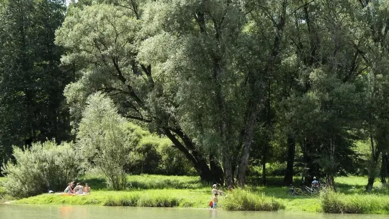 Photo of Others in Pont-de-Poitte
