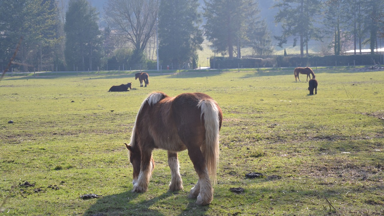 Photo of Others in Menilles