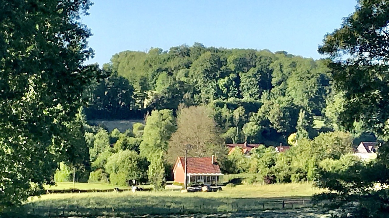 Photo of Others in Willeman