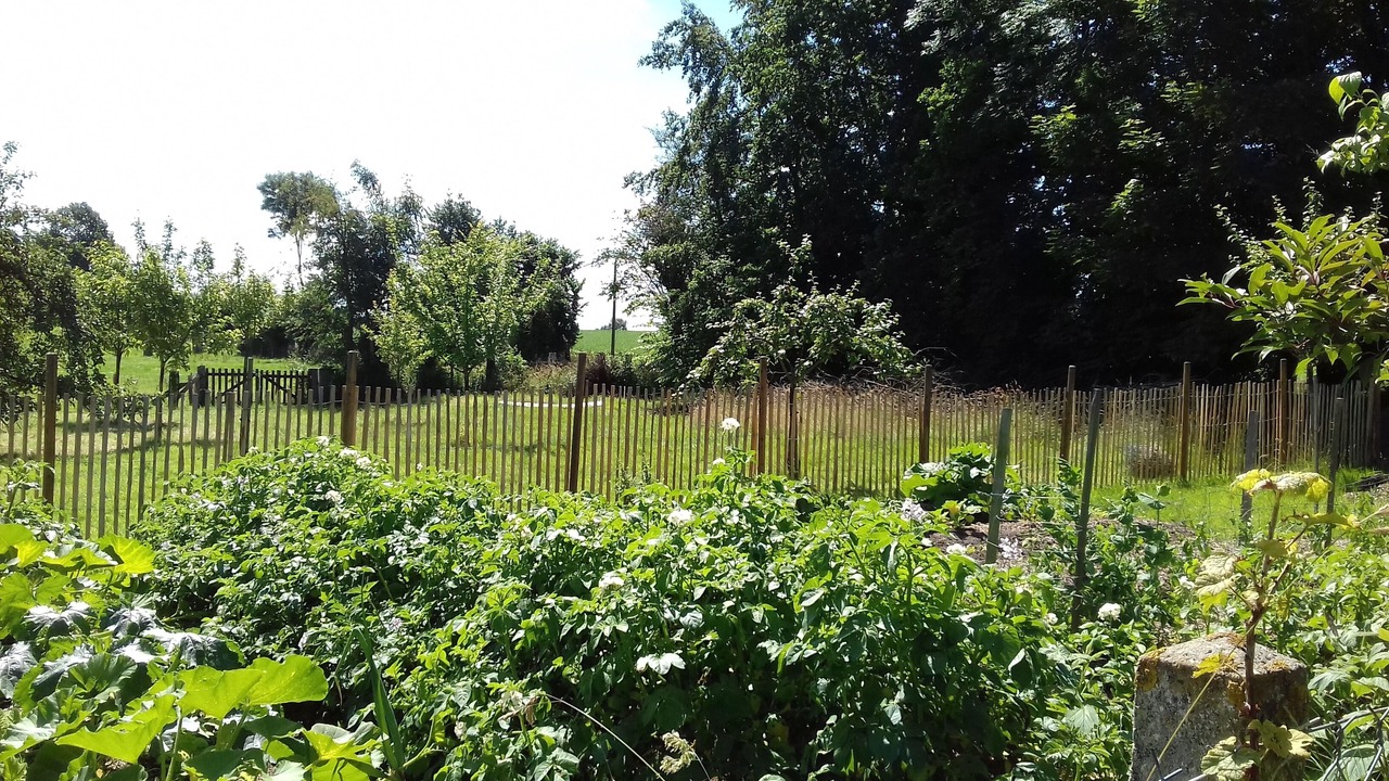 Photo of Outdoor in La Noe-Poulain