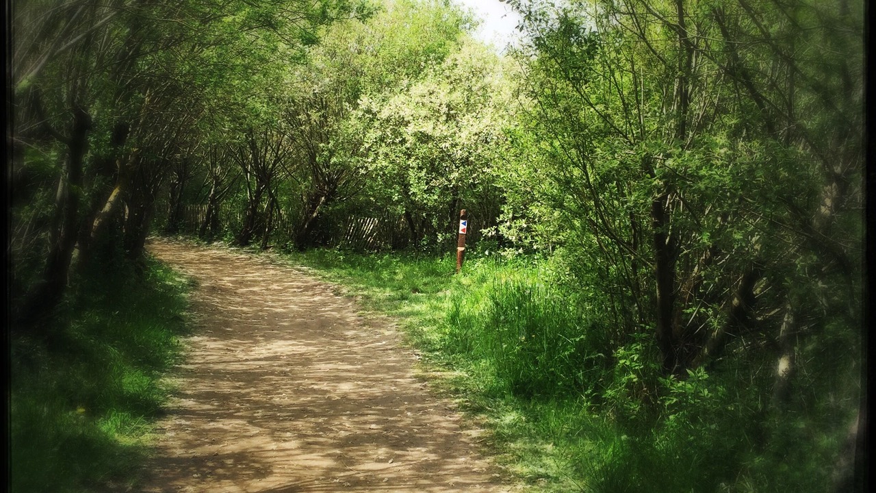 Photo of Outdoor in Crecy-en-Ponthieu