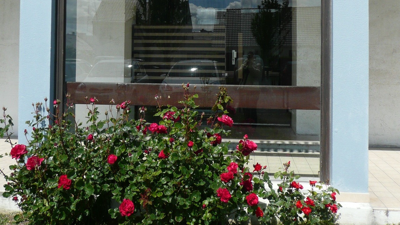 Photo of Outdoor in Port