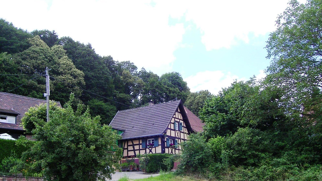 Photo of Outdoor in Windstein