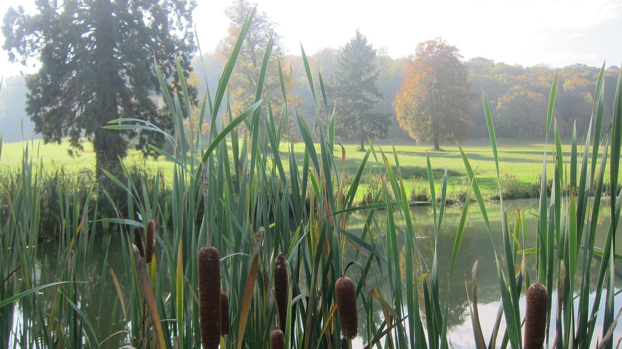 Photo of Outdoor in Chambly
