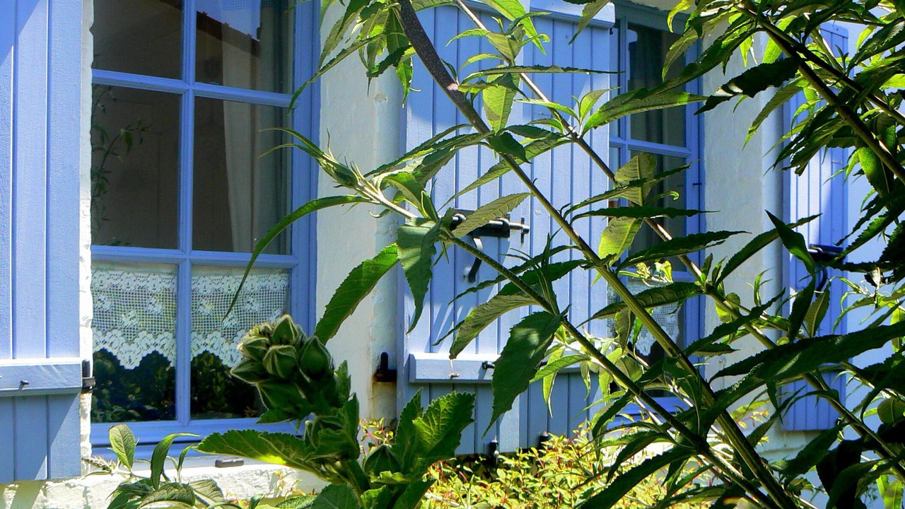 Photo of Outdoor in Wissant