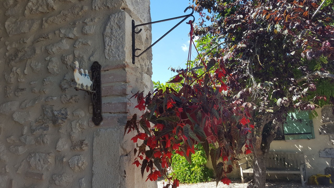 Photo of Outdoor in Razac-d'Eymet