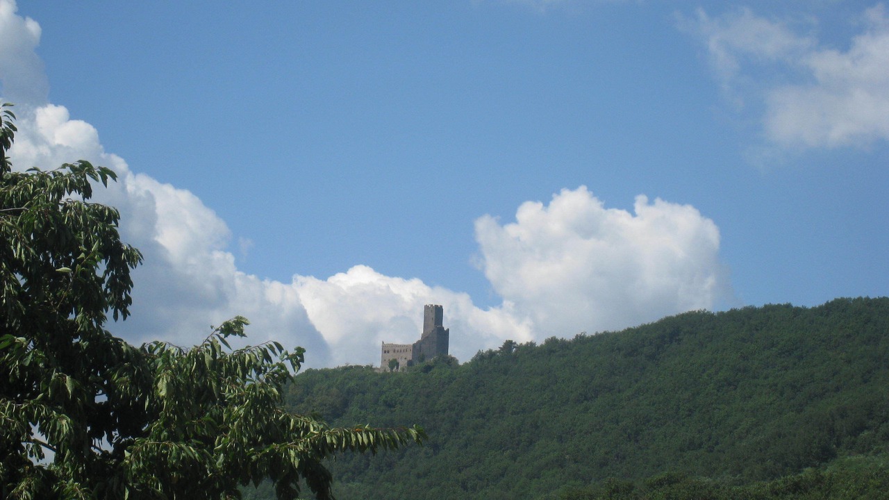 Photo of Outdoor in Kintzheim