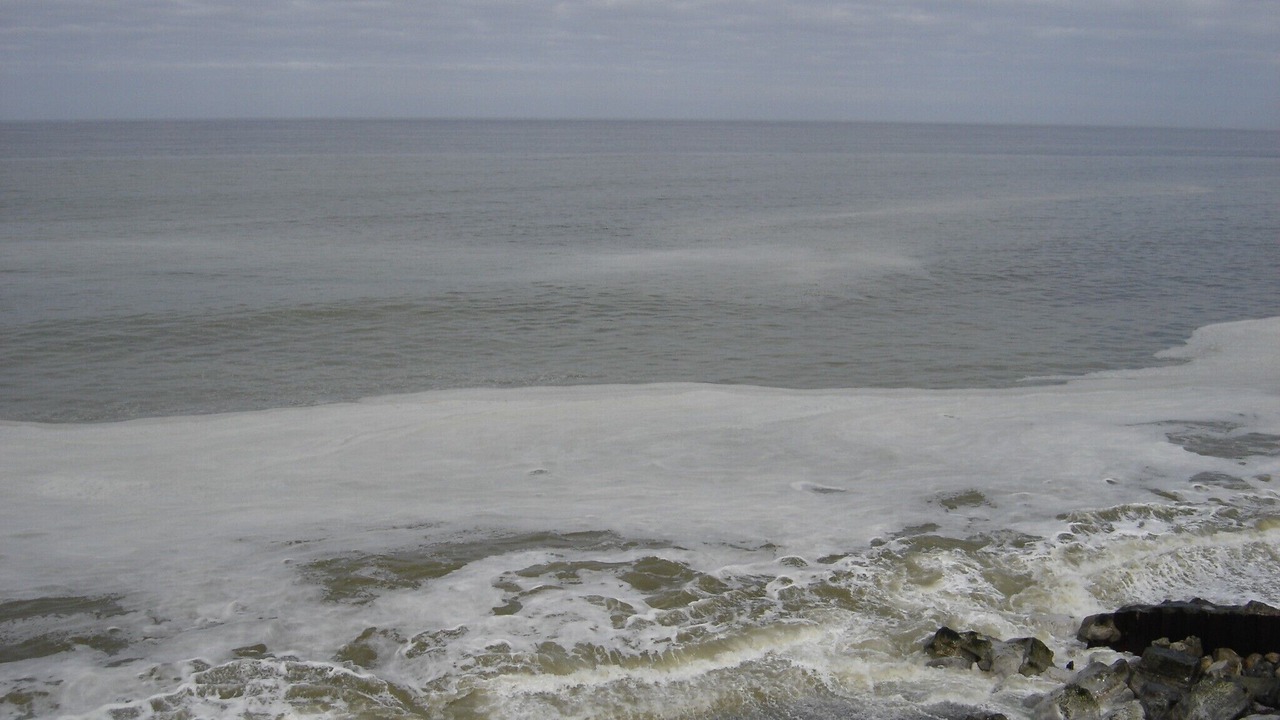 Photo of Others in Ault