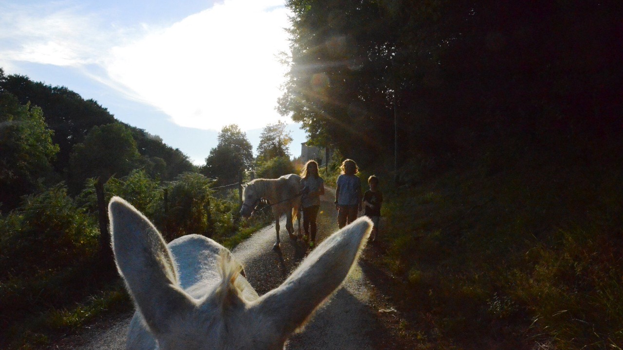 Photo of Outdoor in Saint-Pierre-de-Trivisy