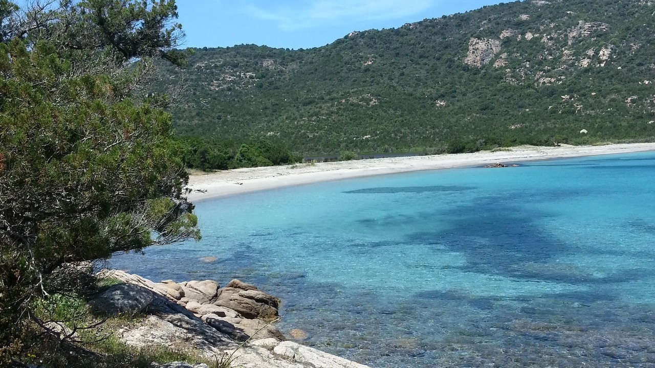Photo of Others in Pinarellu