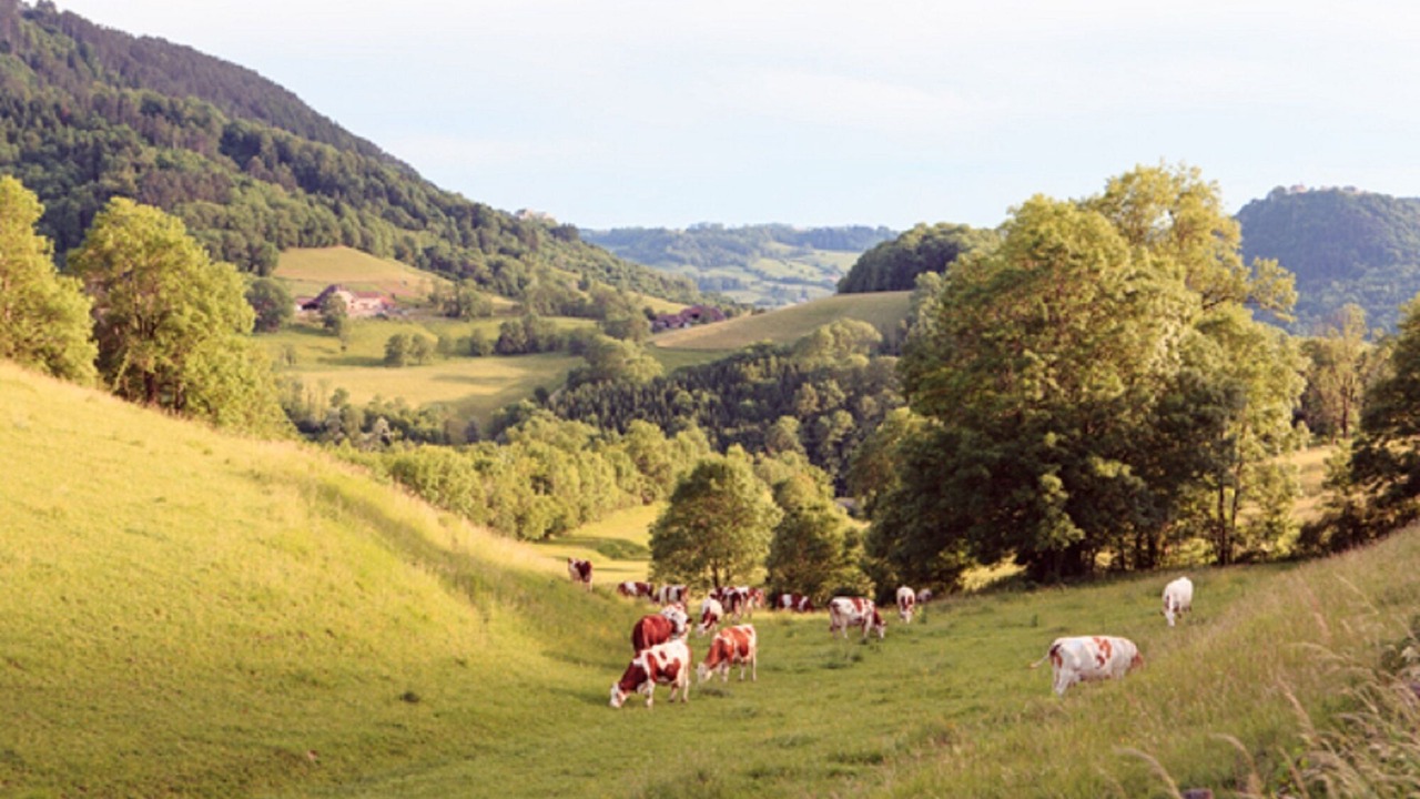 Photo of Others in Salins-les-Bains