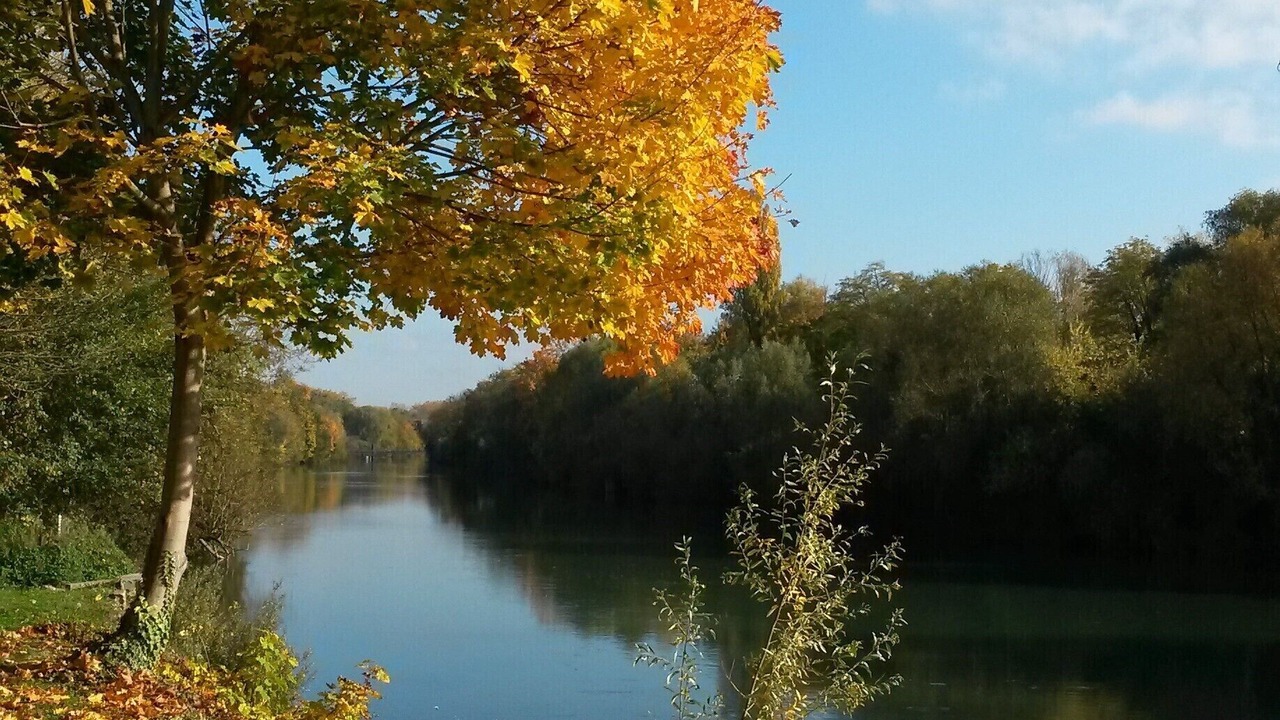 Photo of Outdoor in Chelles