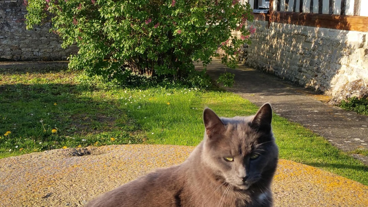 Photo of Outdoor in Vieux-Pont-en-Auge