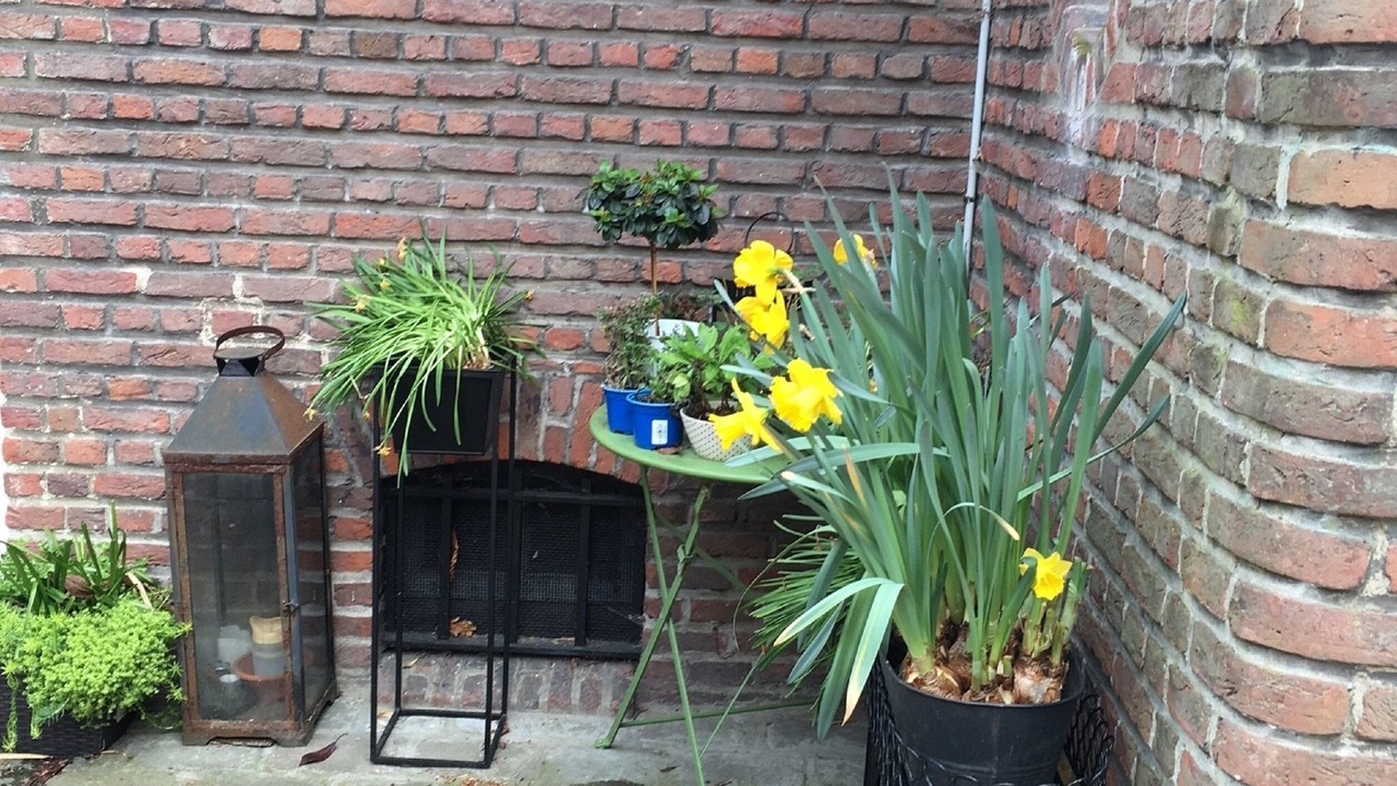 Photo of Patio Balcony in Croix