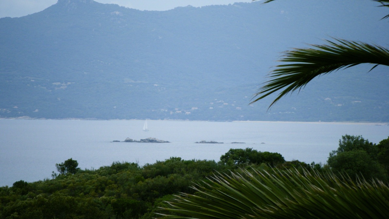 Photo of Others in Belvedere-Campomoro