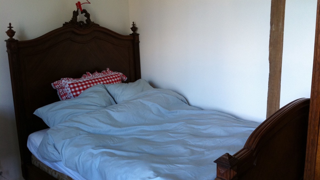 Photo of Bedroom in Saizy