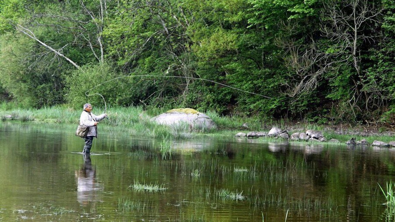 Photo of Outdoor in Alligny-en-Morvan