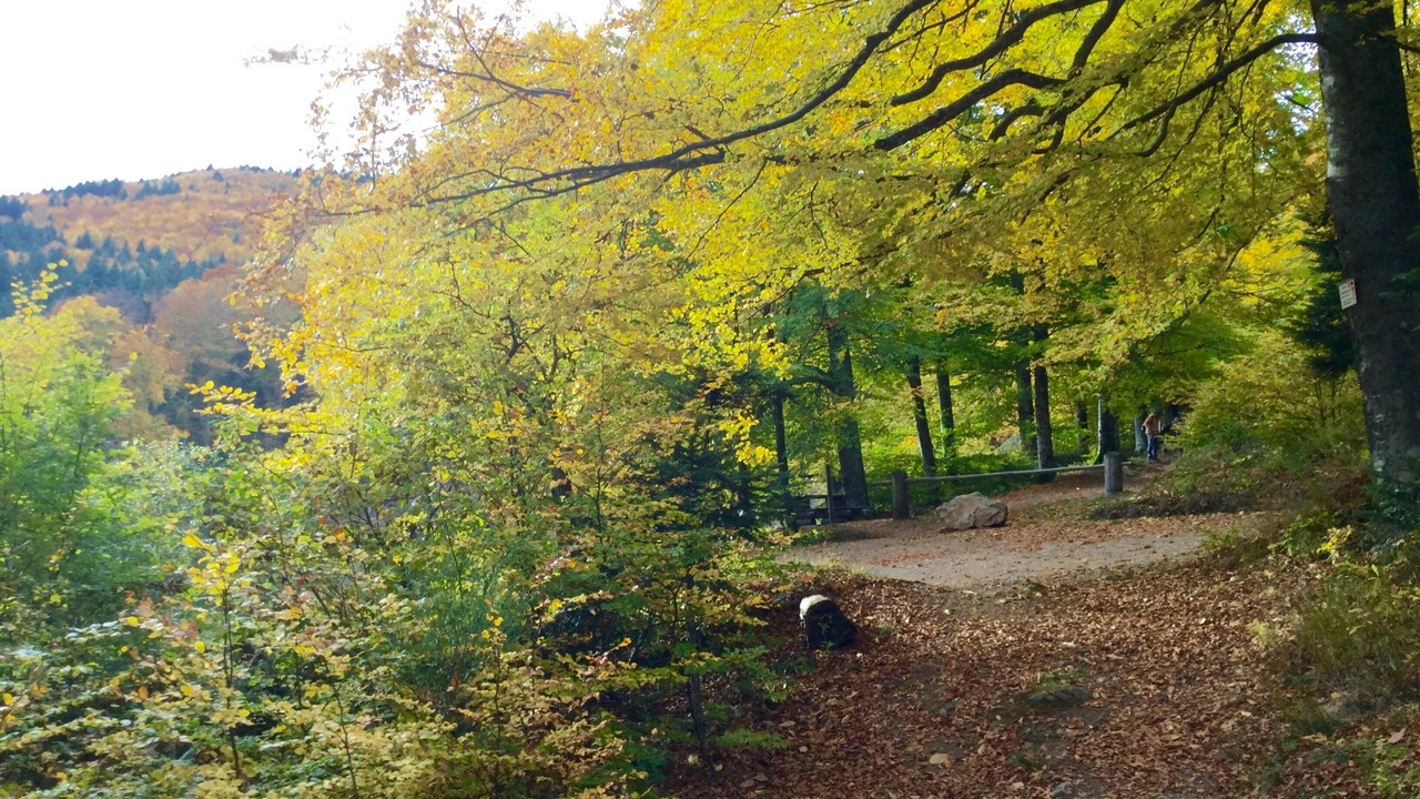 Photo of Outdoor in Masevaux-Niederbruck