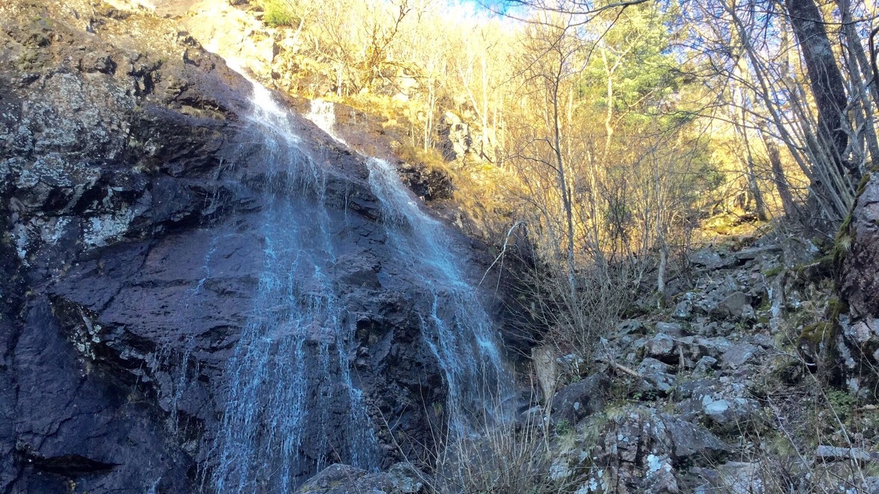 Photo of Outdoor in Masevaux-Niederbruck