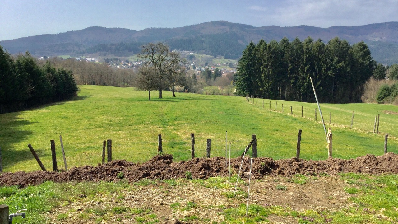 Photo of Others in Masevaux-Niederbruck
