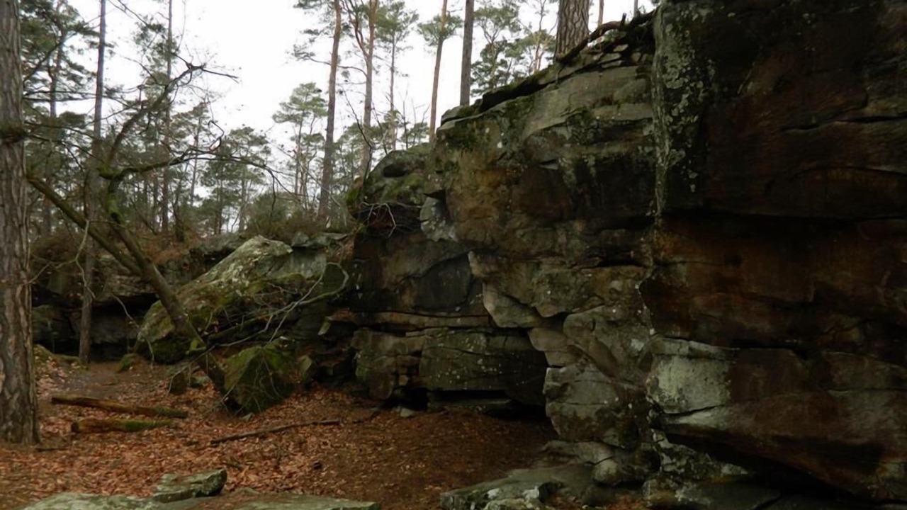 Photo of Others in Fontainebleau