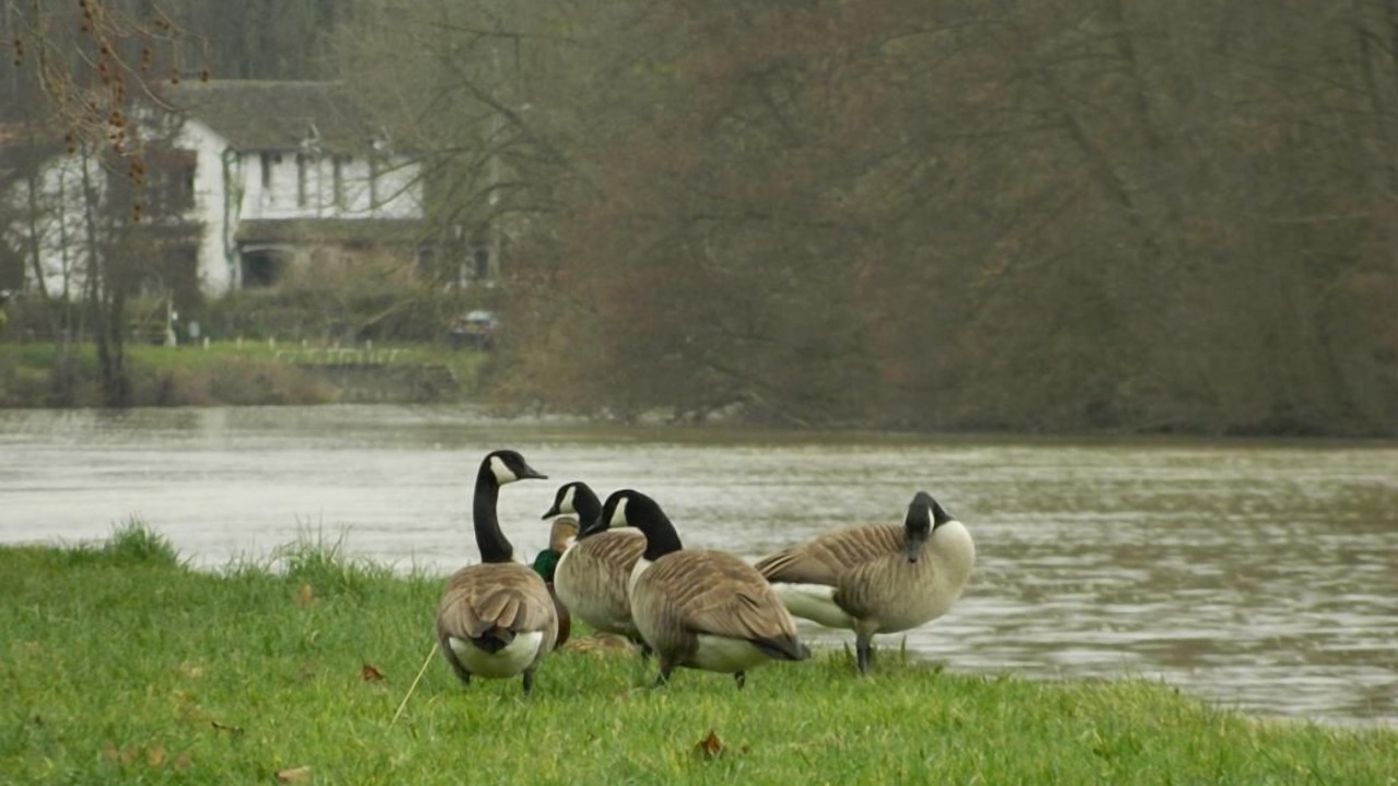 Photo of Others in Fontainebleau