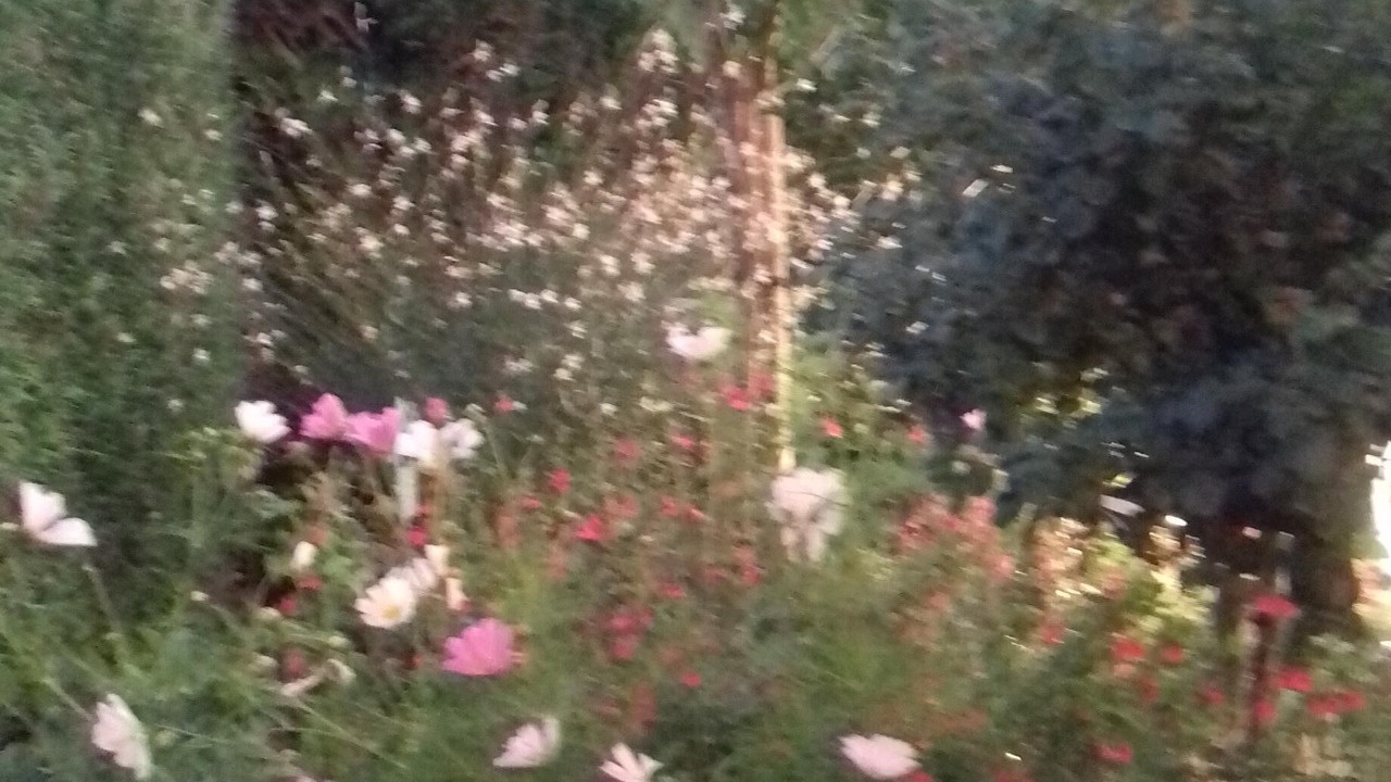 Photo of Outdoor in Vernon