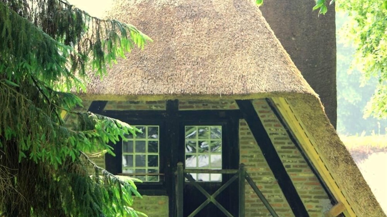 Photo of Outdoor in Le Heron