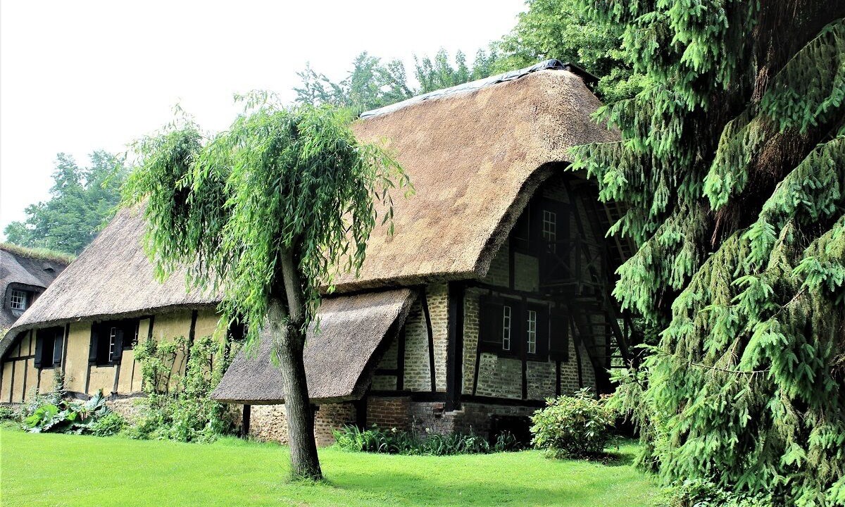 Photo of Outdoor in Le Heron