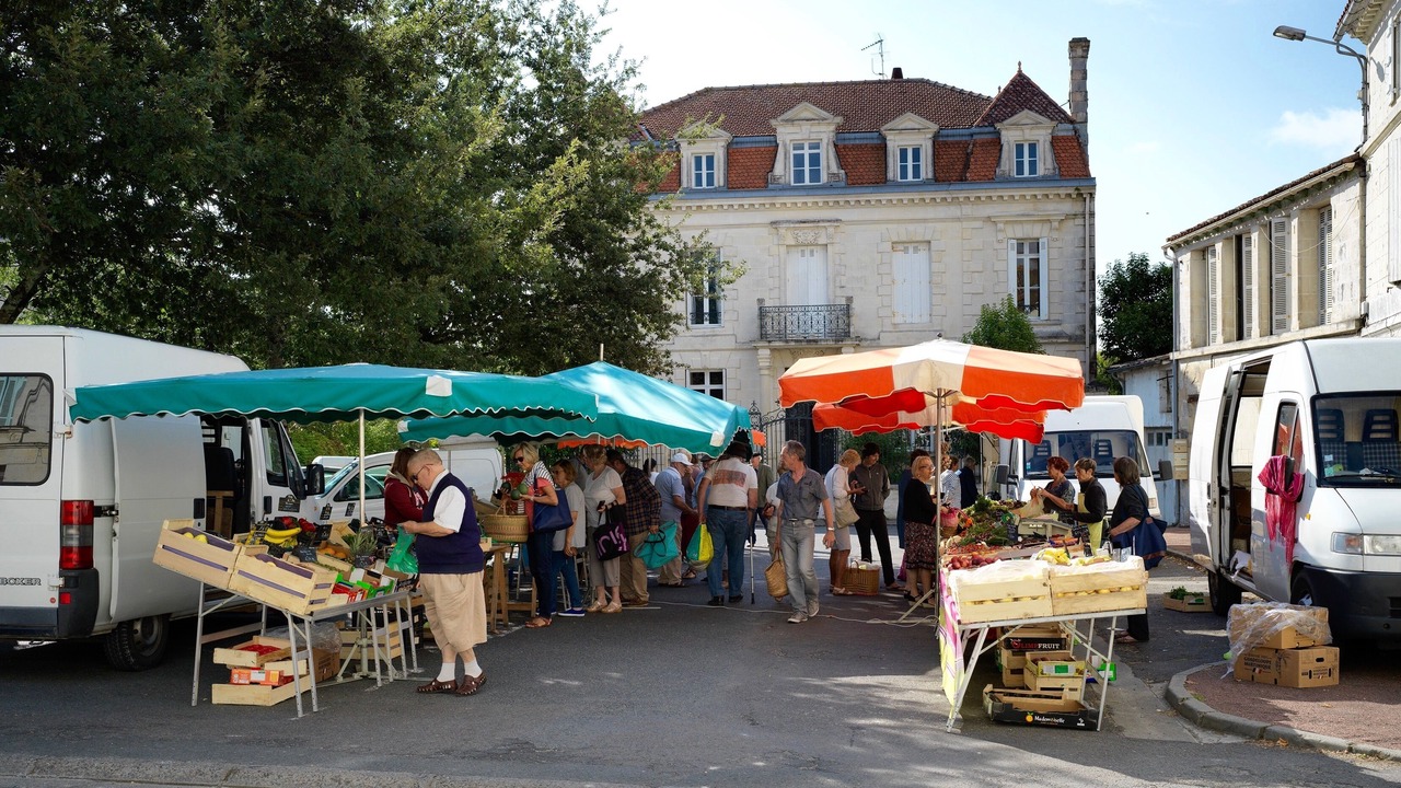 Photo of Others in Saint-Fort-sur-Gironde