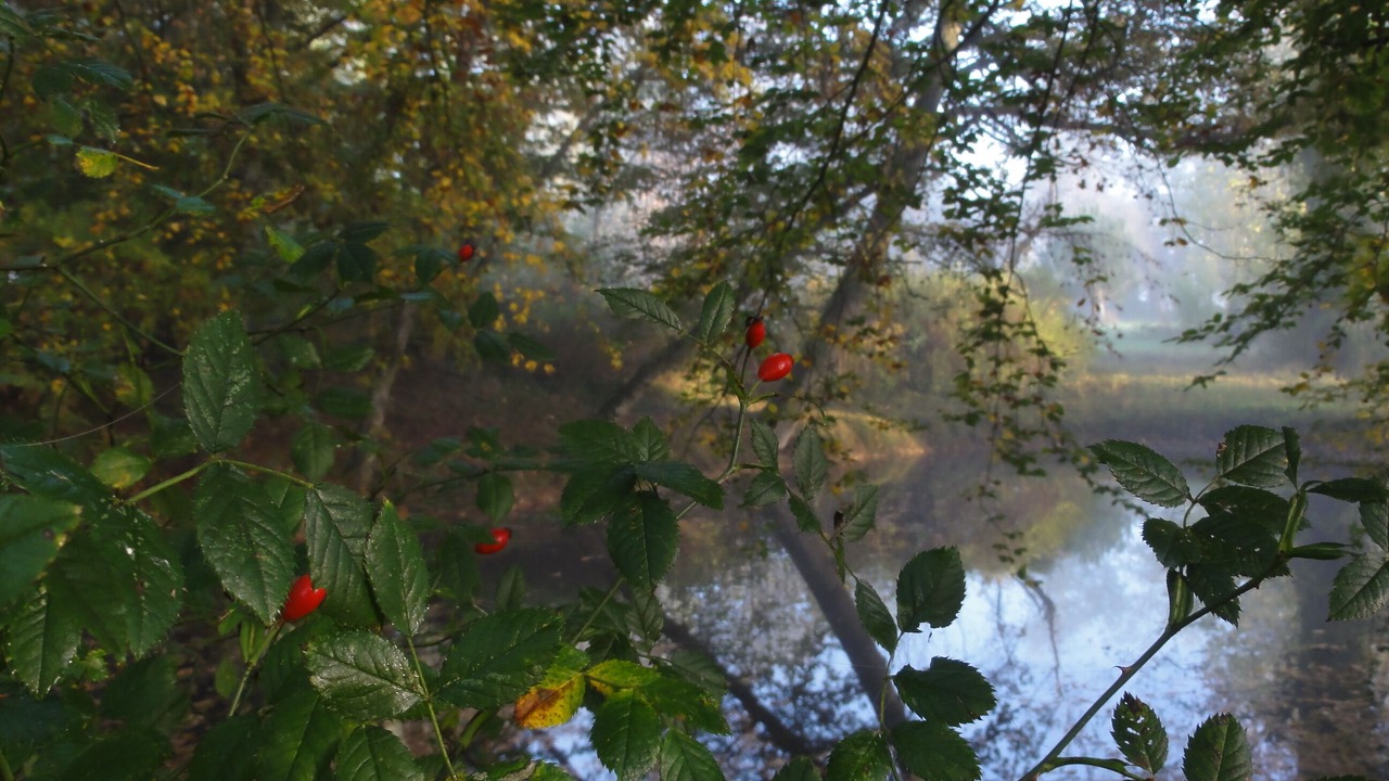 Photo of Outdoor in Boissy-les-Perche