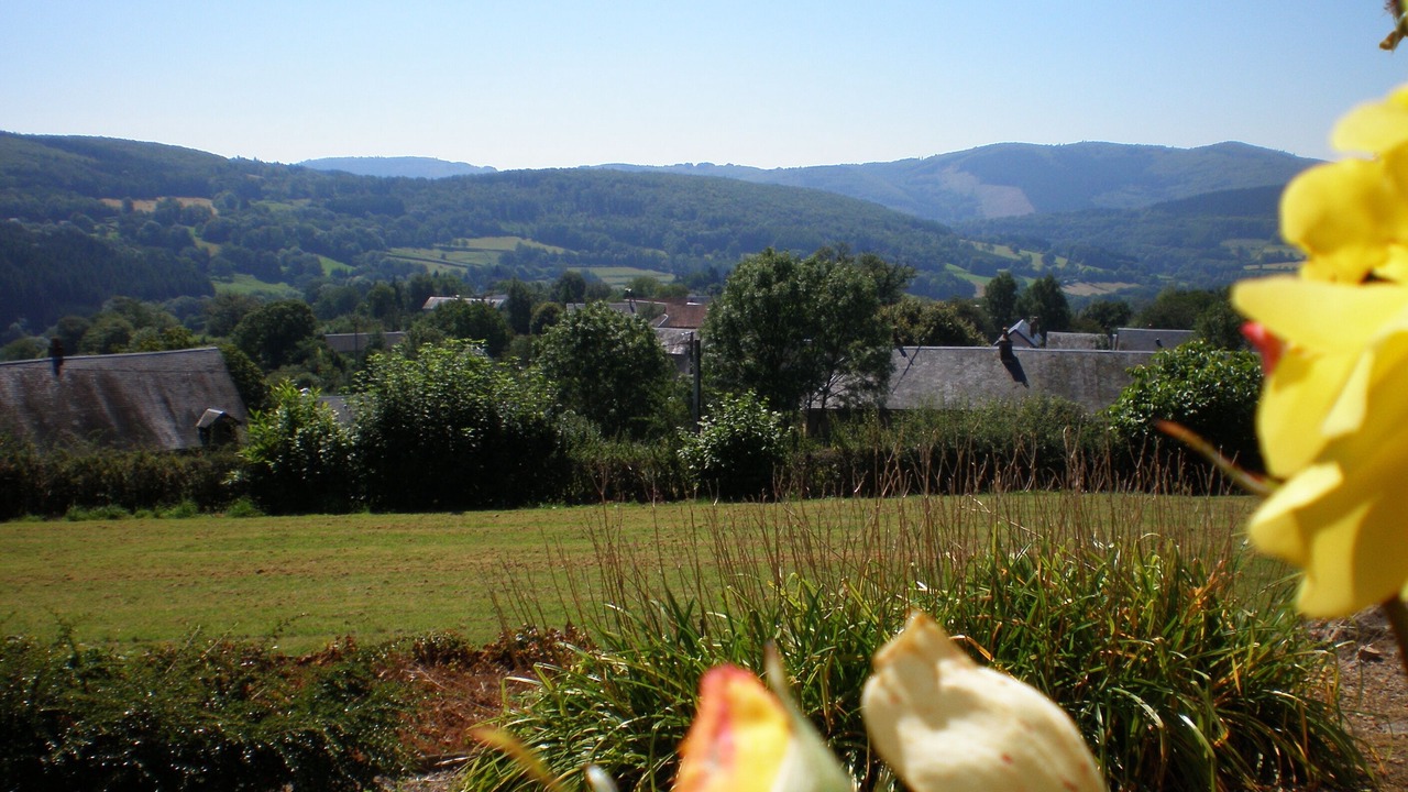 Photo of Outdoor in Anost