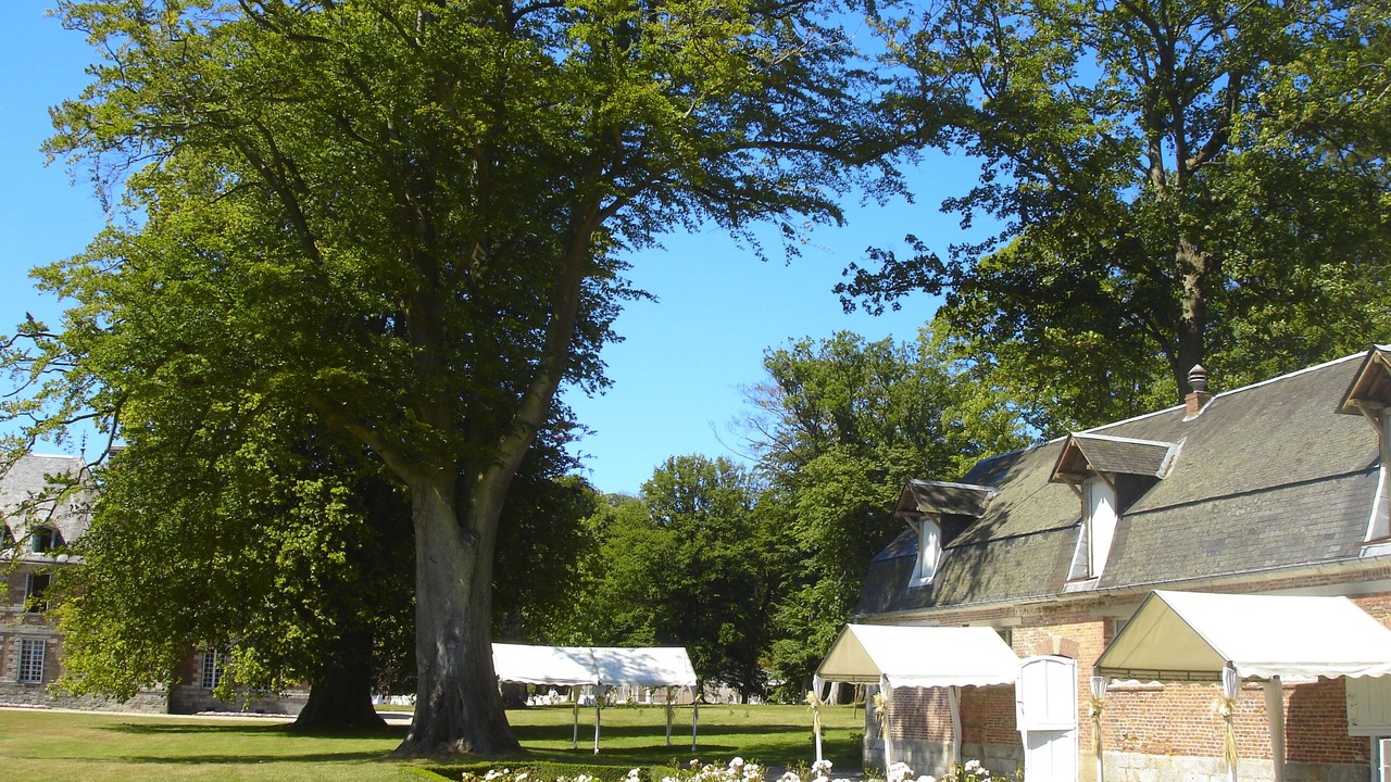Photo of Outdoor in Paluel
