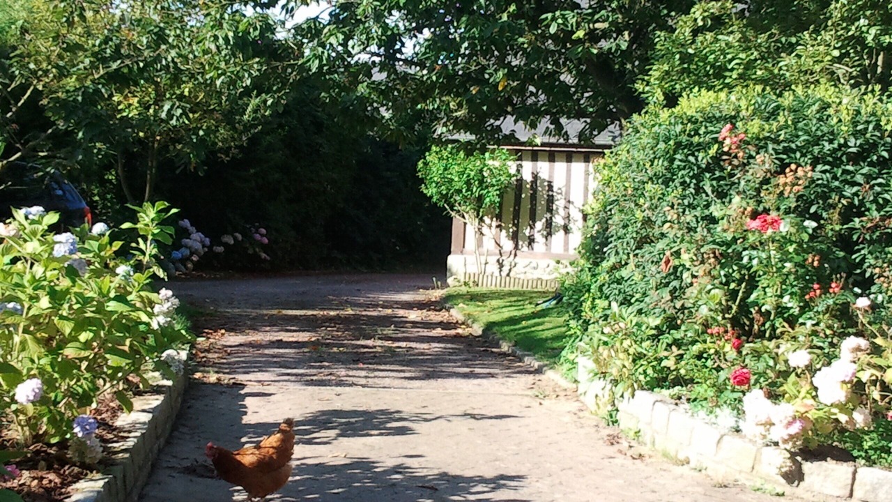 Photo of Outdoor in Sausseuzemare-en-Caux