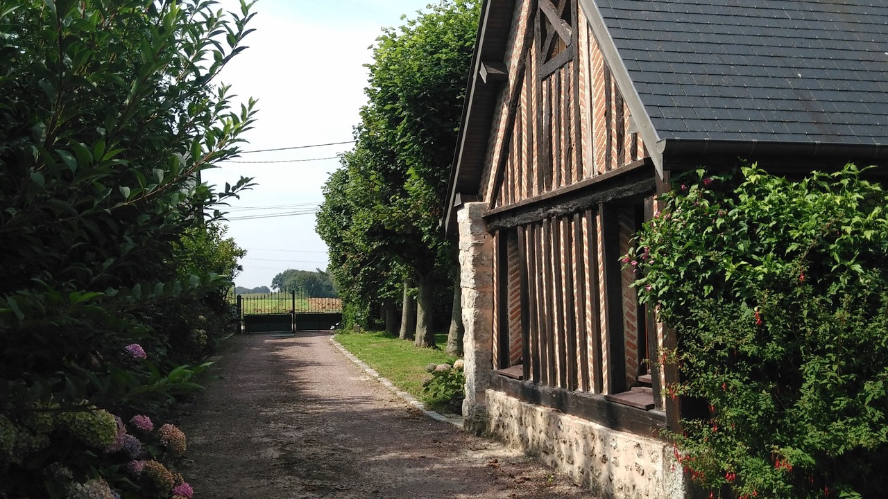 Photo of Outdoor in Sausseuzemare-en-Caux