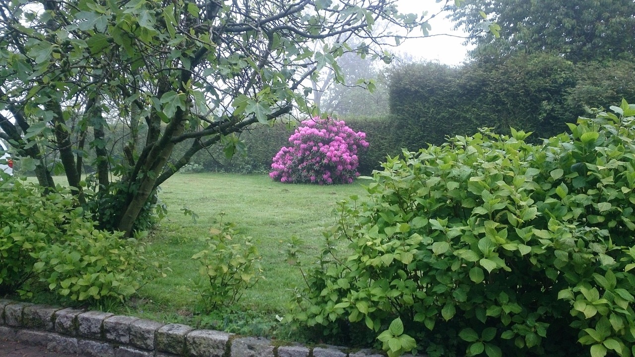 Photo of Outdoor in Sausseuzemare-en-Caux