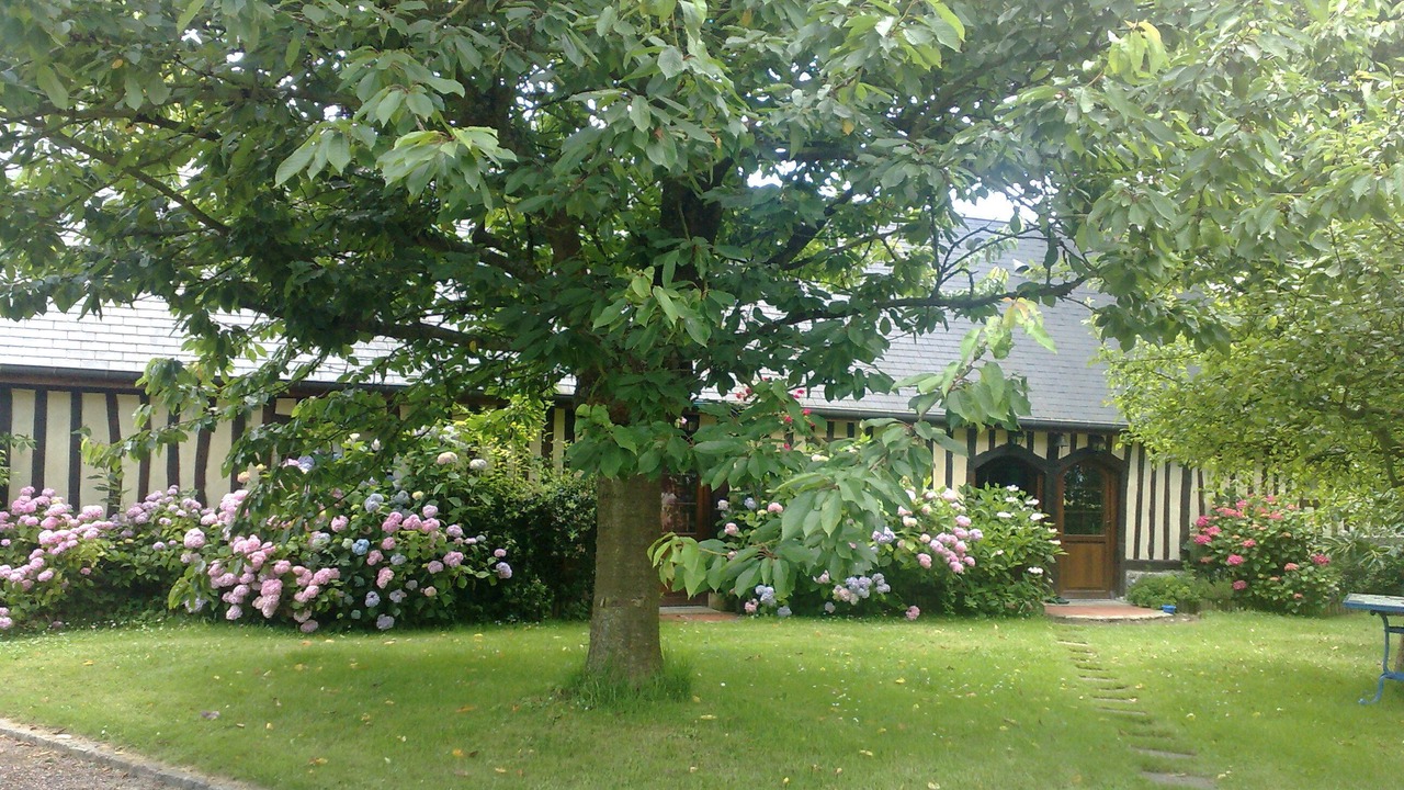 Photo of Outdoor in Sausseuzemare-en-Caux