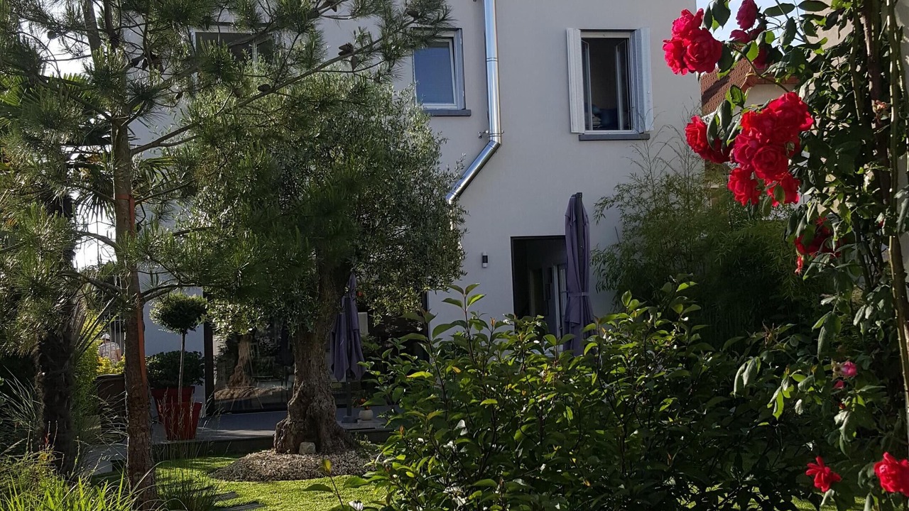 Photo of Outdoor in Velizy-Villacoublay