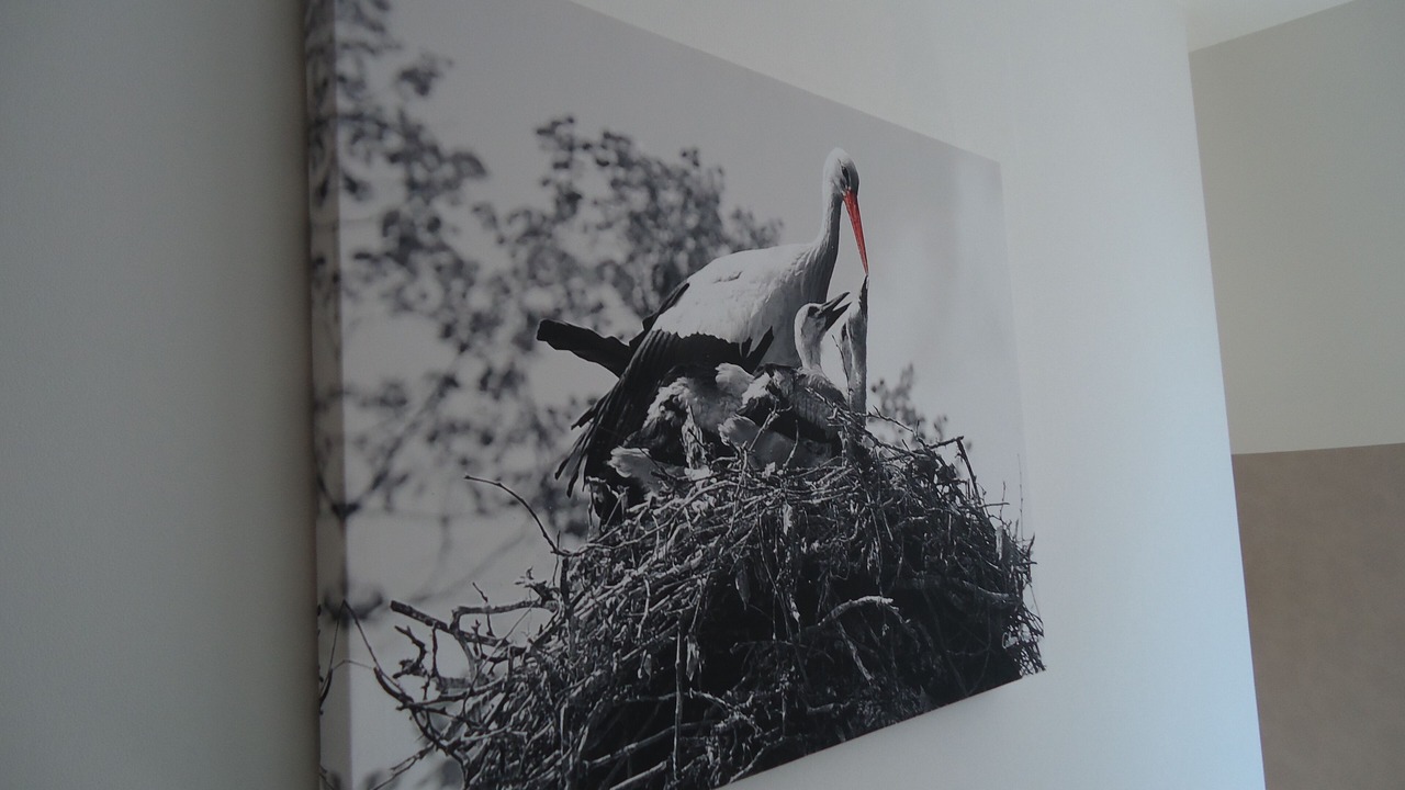 Photo of Others in Ichtratzheim