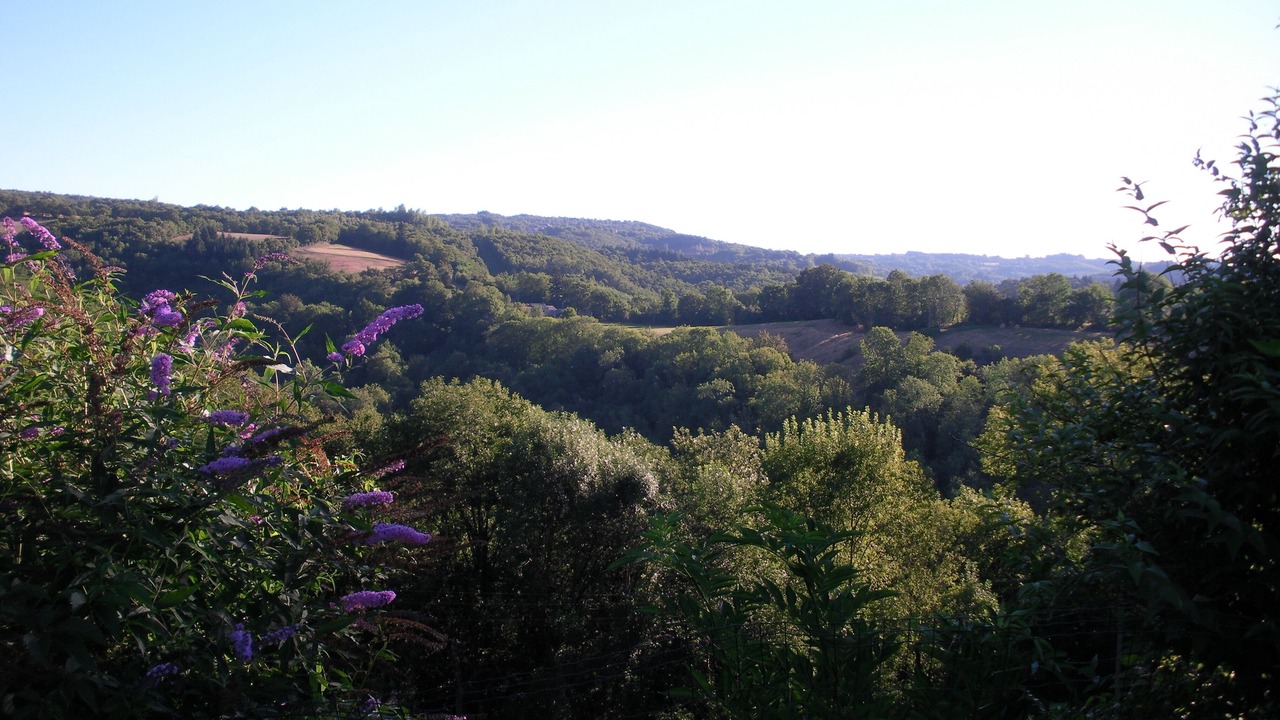 Photo of Outdoor in Noailhac